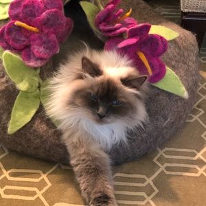 Meet your Posher, Miranda